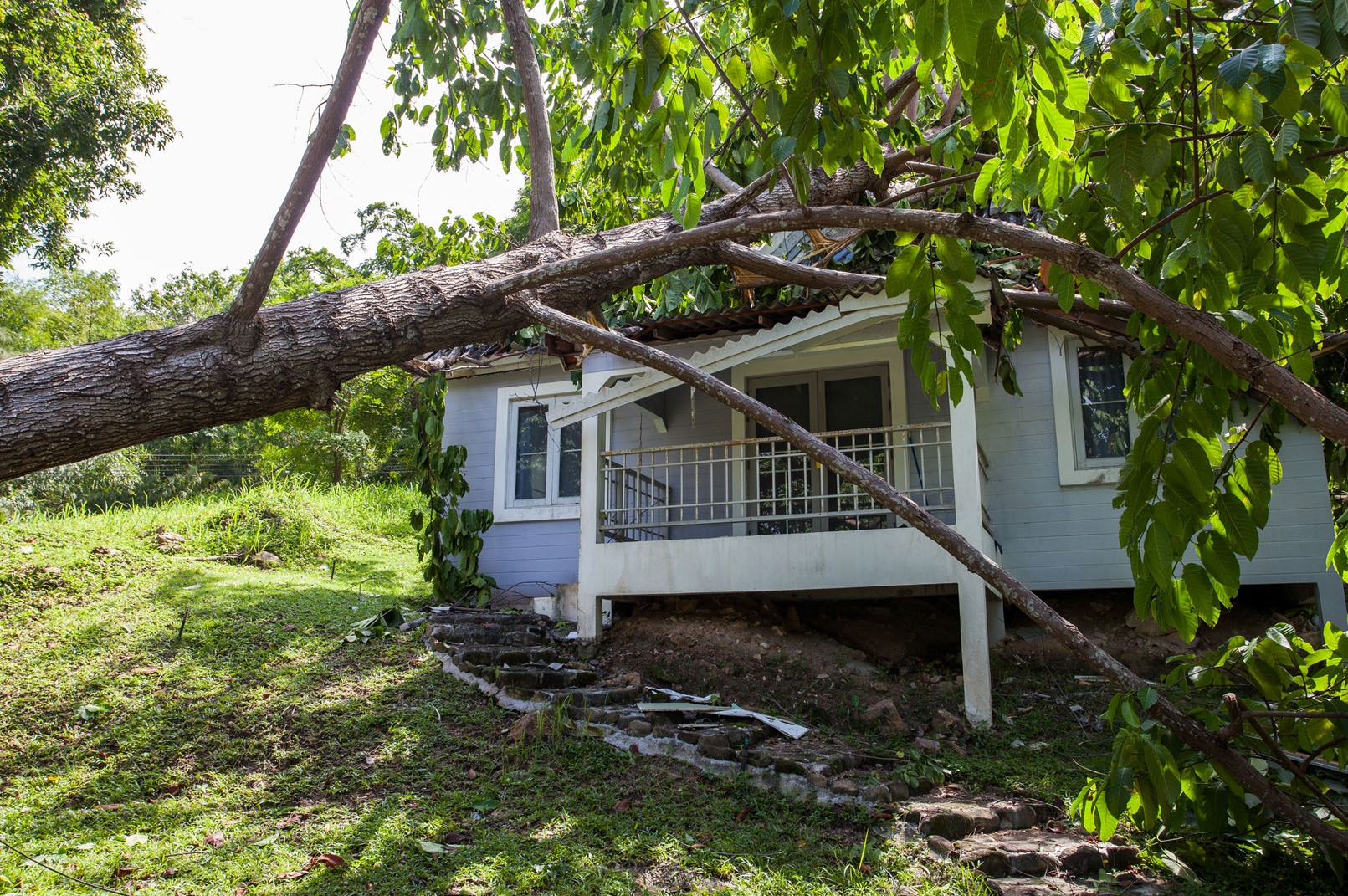 Storm Damage and Insurance Claims