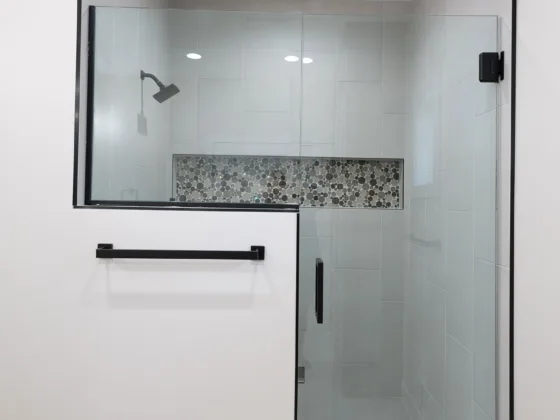 walk-in shower in lower level bathroom remodel